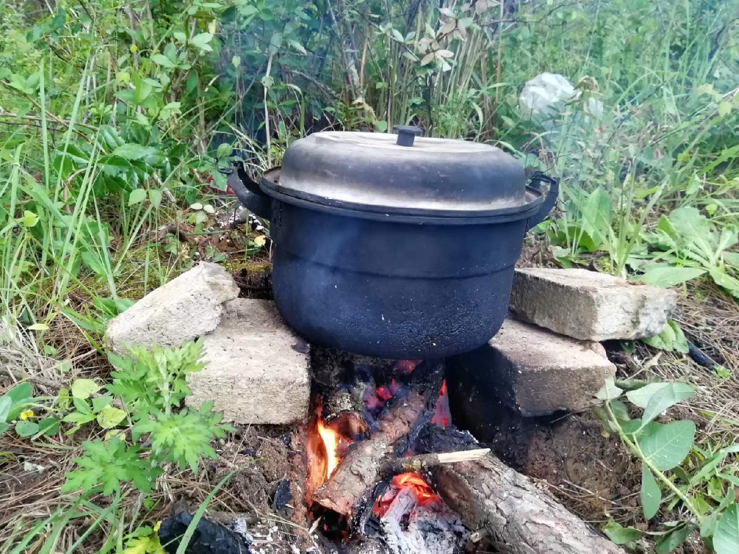 狩猎和野炊饮食