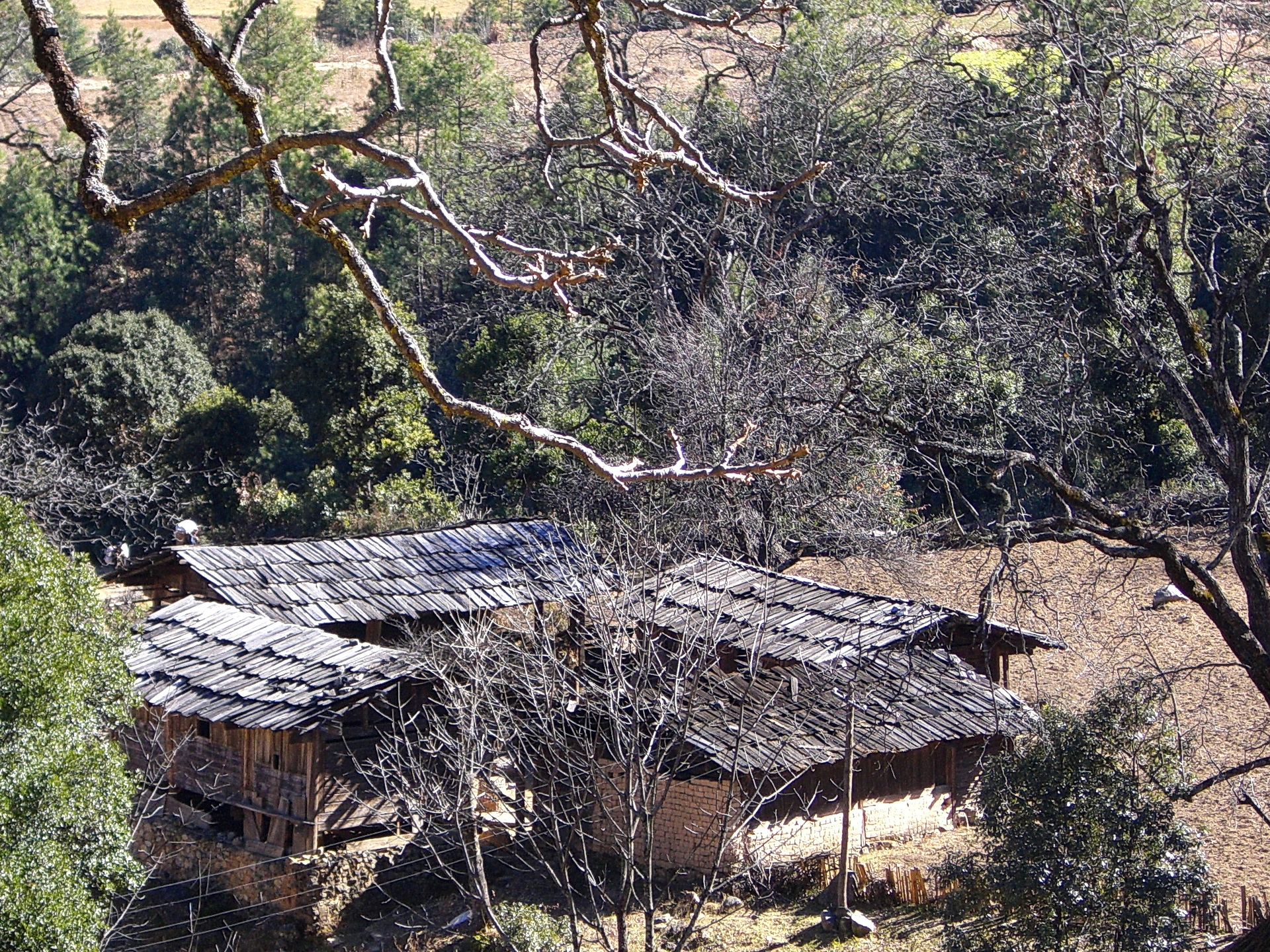 纳西族板屋民居建筑CIMG2591.JPG