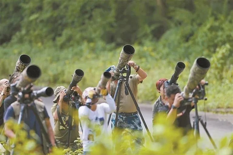【尹瑞杉 杨建美等】旅游人类学理论视角下滇西观鸟旅游研究