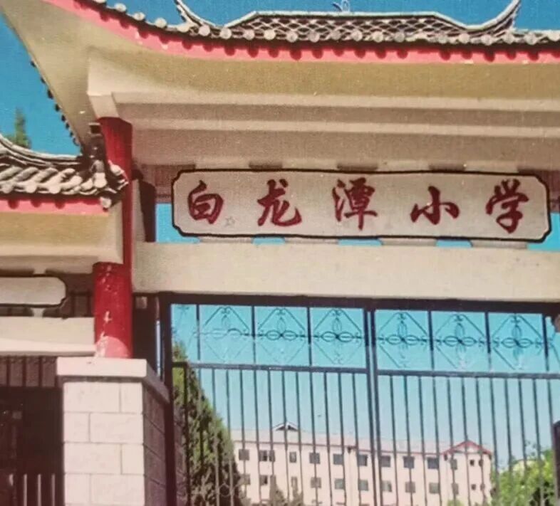 【和冬梅】那年种下了两棵树