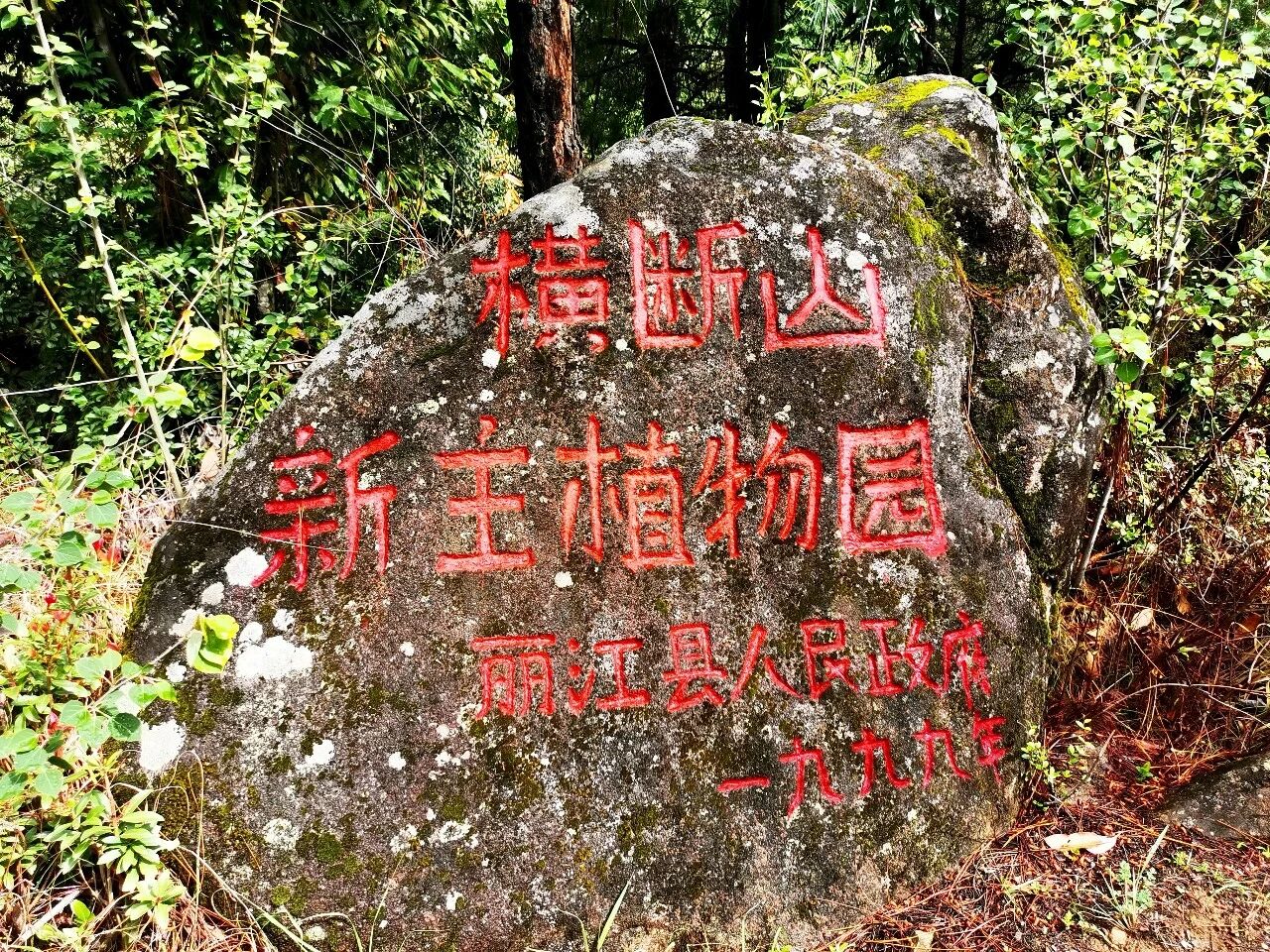 微信图片_2026-07-10_141002_836.jpg