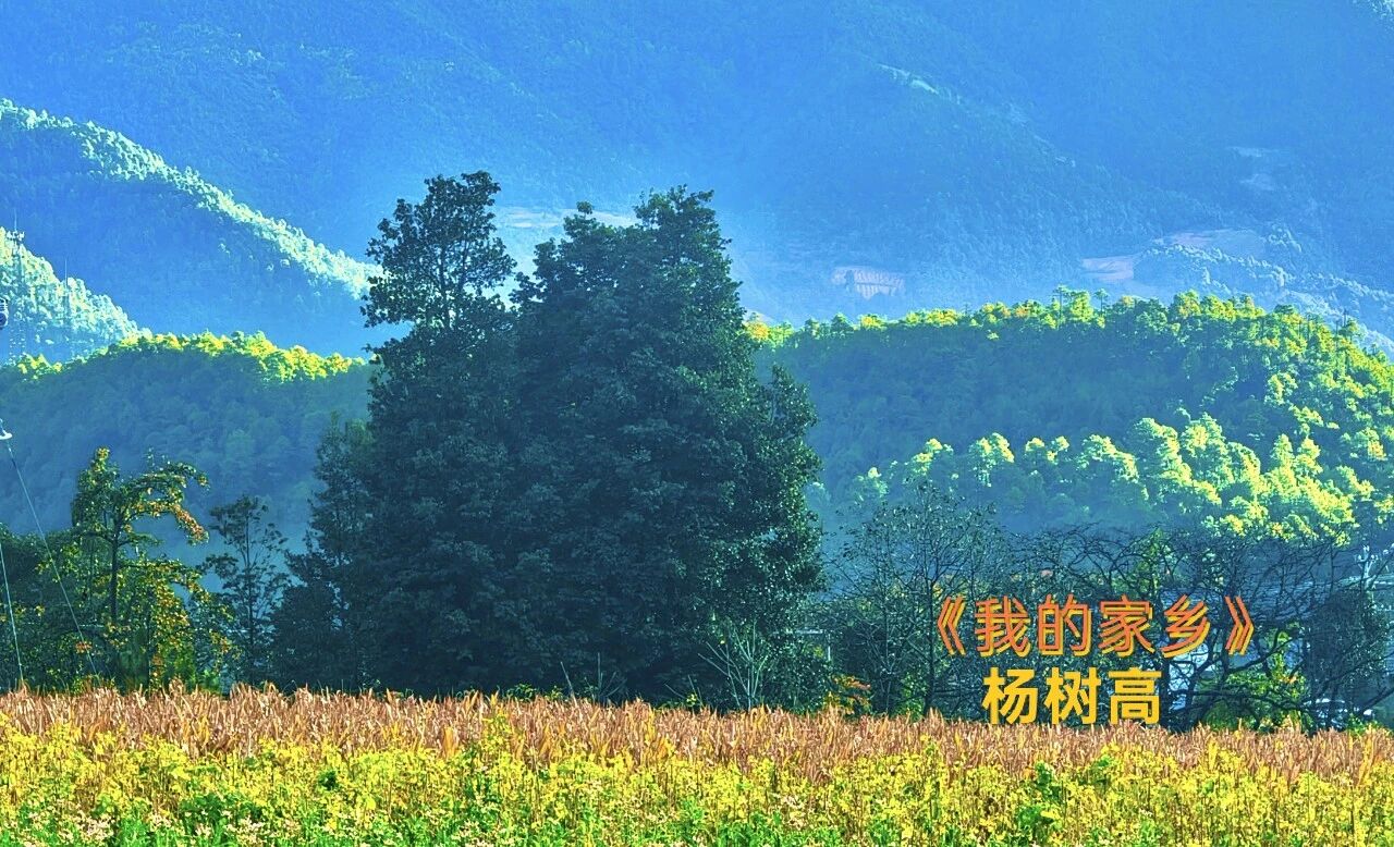 微信图片_2026-07-10_141008_998.jpg