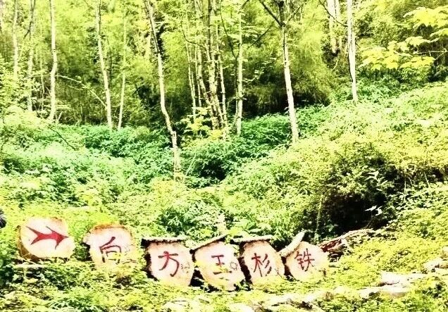 微信图片_2026-07-10_141042_358.jpg