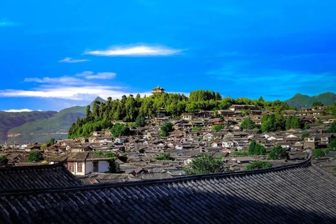 微信图片_2026-07-14_131933_461.jpg